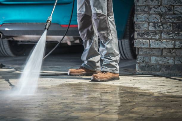Best Dumpster Area Cleaning  in Robbinsdale, MN