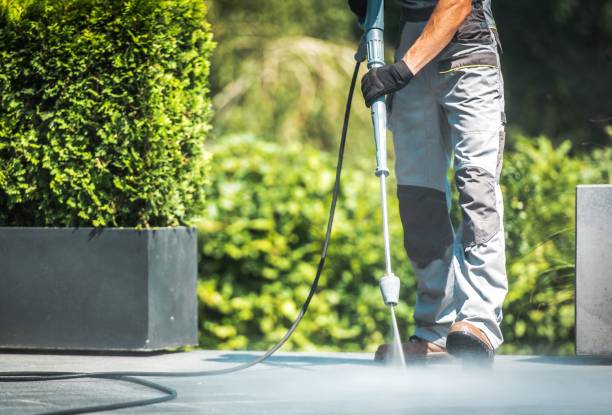 Best Pre-Holiday Cleaning  in Robbinsdale, MN