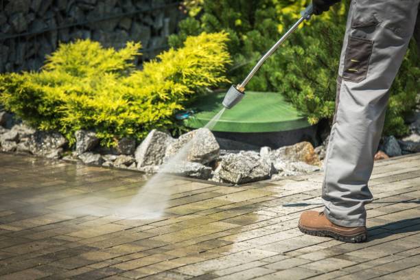 Best Pool Deck Cleaning  in Robbinsdale, MN