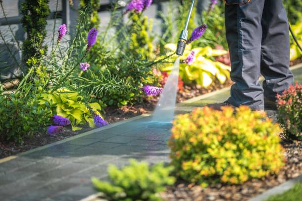 Best Boat and Dock Cleaning  in Robbinsdale, MN