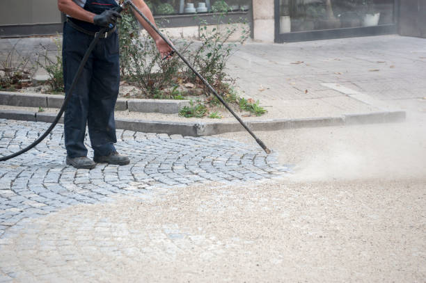 Best Winterizing Services  in Robbinsdale, MN